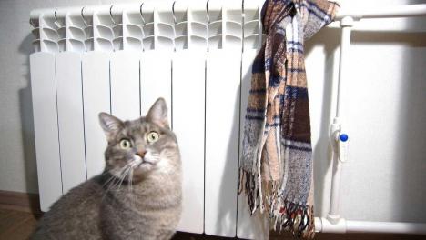 Когда включат отопление в Новосибирске? Мэрия назвала необходимые условия для подачи тепла