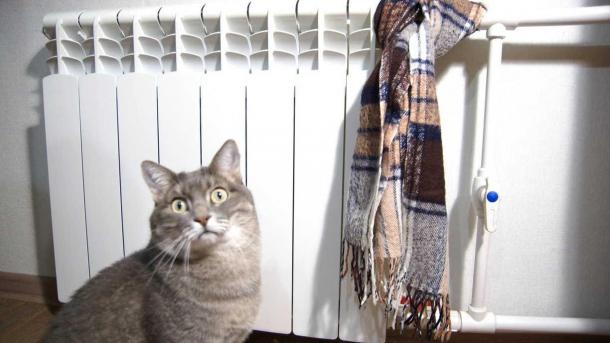 Когда включат отопление в Новосибирске? Мэрия назвала необходимые условия для подачи тепла