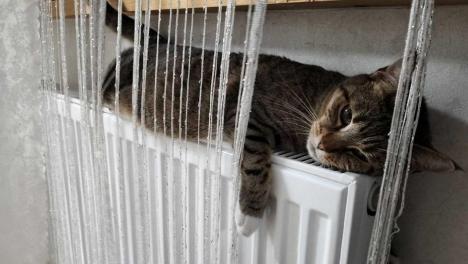 В Новосибирске назвали крайний срок готовности домов к отоплению