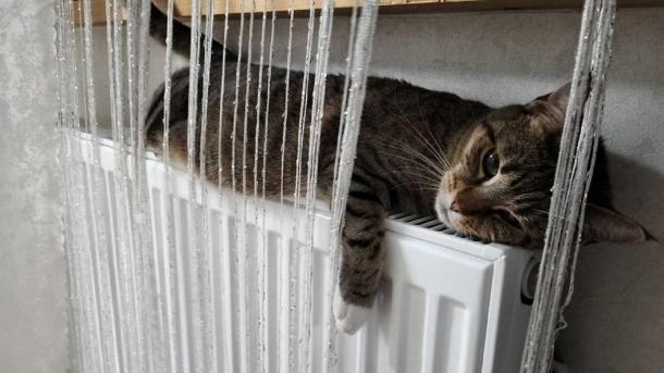 В Новосибирске назвали крайний срок готовности домов к отоплению