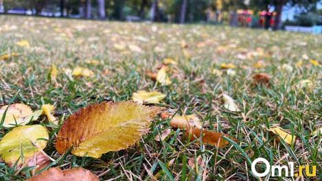 Почти ноль градусов: Омск накроет резкое похолодание