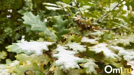 Циклон с первым снегом идёт в Сибирь: что ждать омичам?
