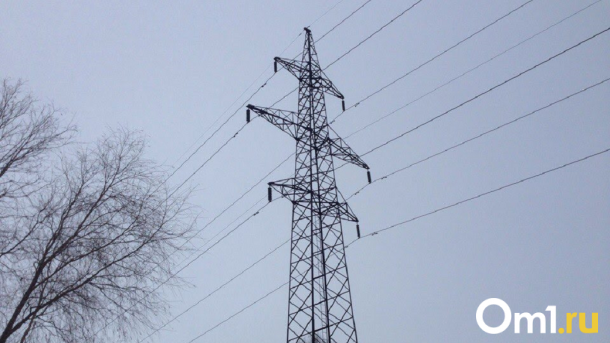 В «Омскэлектро» назначили нового и.о. генерального директора