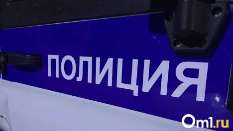 «Хотел припугнуть»: пожилой омич открыл огонь по внедорожнику из-за конфликта с односельчанином