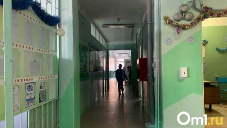 «Издевательство над людьми»: в Омске родители бьют тревогу из-за давки у дверей гимназии