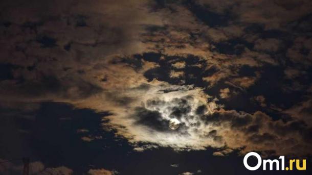 Раскрыты детали убийства омича на фестивале в США