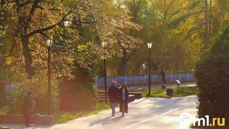 Бабье лето 2.0: вторая волна тепла ожидается в Омске с 15 сентября