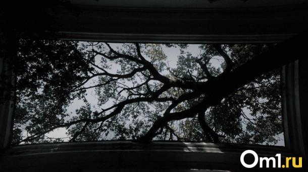 Родные погибшего омича собрали деньги на перевозку тела из США