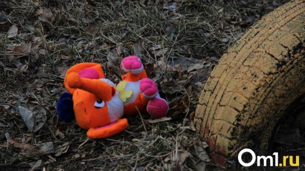 В полиции рассказали, зачем пьяный омич тащил чужого ребёнка в подъезд