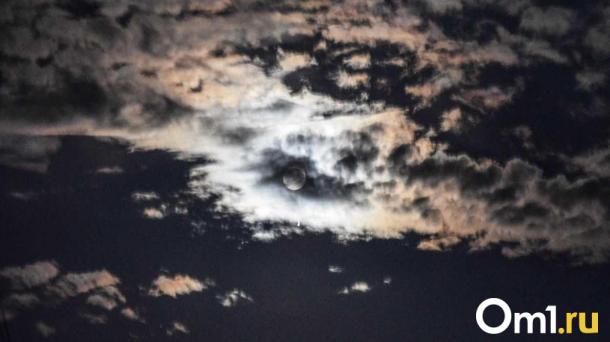 Очевидцы рассказали подробности убийства омича на фестивале в США