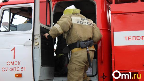 В МЧС назвали число пожаров, произошедших по вине детей в Омской области