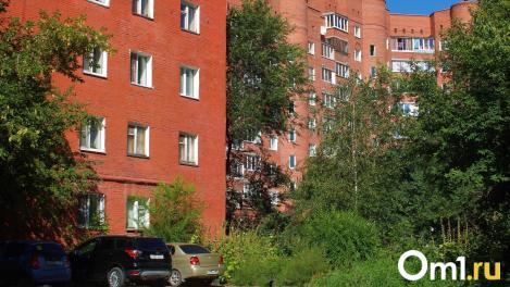 В Омске продают «микро»-квартиру на Космическом проспекте