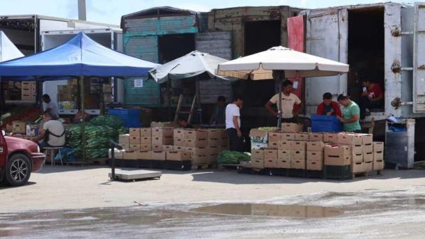 Силовики изъяли у мигрантов 28 единиц оружия в Новосибирске за неделю