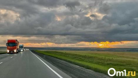 Фуры с сыром и печенью не пустили в Омскую область. Почему?