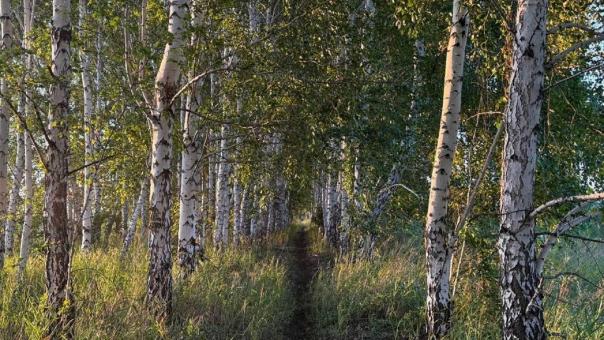 В Москву идёт аномальное потепление до +24° и солнце на 3 дня