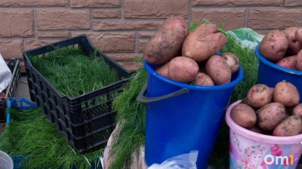 Картошка станет невкусной. В минсельхозе рассказали, как влажность повлияет на урожай