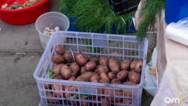 Омичам рассказали, как не потерять урожай картошки