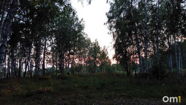 «Клещ не пройдёт»: почти 370 тысяч новосибирцев сделали прививку от энцефалита