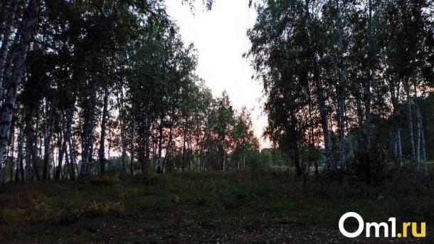 «Клещ не пройдёт»: почти 370 тысяч новосибирцев сделали прививку от энцефалита