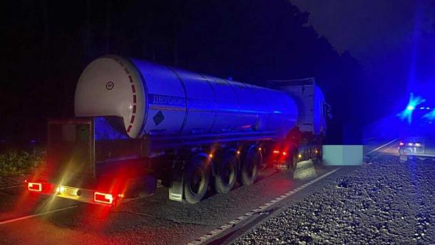 Водитель Volvo ночью сбил пешехода на трассе К-12 под Новосибирском