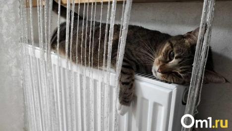 Жителям Омской области рассказали, насколько регион готов к отопительному сезону