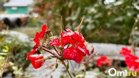 В Омск идёт мощное похолодание до -5 градусов