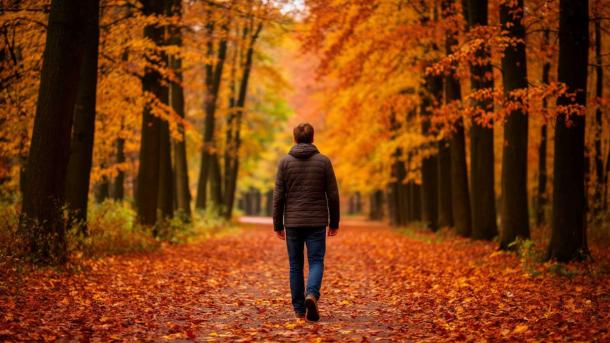 Сезонная хандра в Новосибирске: почему не стоит злоупотреблять сериалами и шоколадом осенью