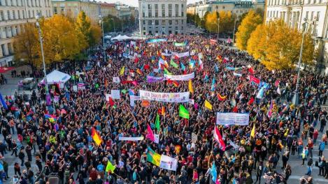 Блокировки звонков, рост цен и бродячие собаки — вспоминаем крупные акции в Новосибирске в 2025