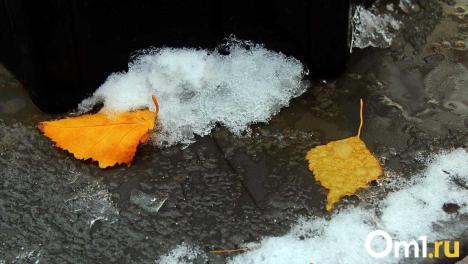 До –2 градусов: синоптики рассказали, какой будет погода в Новосибирске на выходных