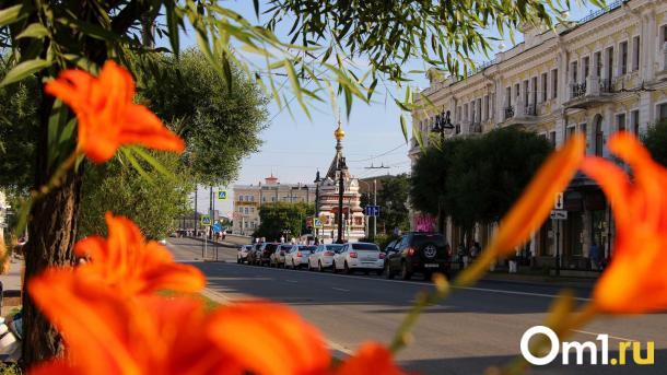 Ретро-рейв 90-х, песни Летова и собачки: что будет происходить на Любинском проспекте в выходные