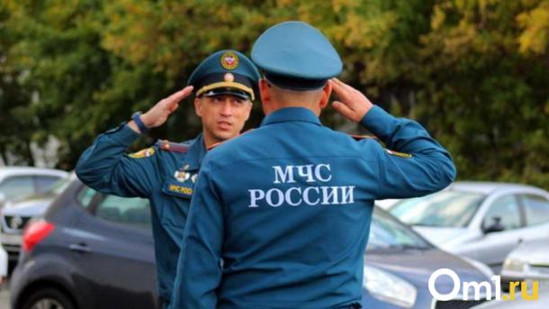 Спасатели Новосибирской области ликвидировали 15 пожаров за сутки