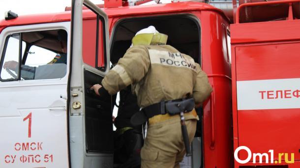 Сгорел заживо: в Омской области в полыхавшем доме погиб мужчина