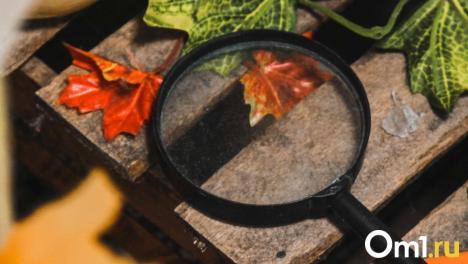 В Омске продают лающую рептилию. Сколько стоит диковинка?