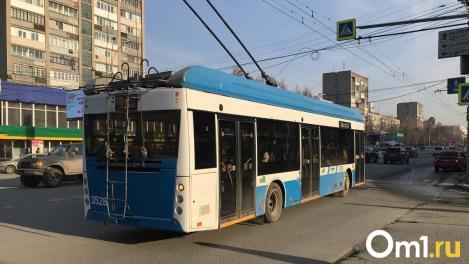 В мэрии объяснили отказ от популярного троллейбуса на Левобережье