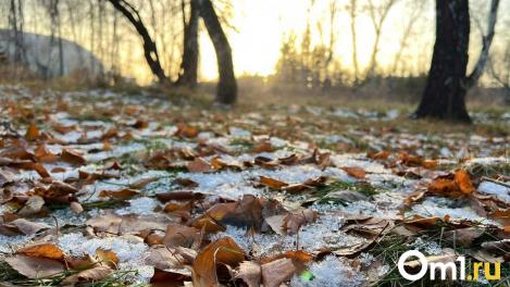 В Омской области внезапно похолодает до -5: синоптики дали пугающий прогноз