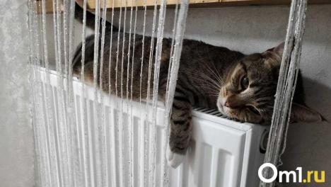 В Омской области начался запуск отопления. Где уже появилось тепло?