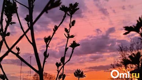 Из-за череды магнитных бурь часть жителей смогут наблюдать северное сияние: увидят ли его омичи?