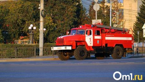 Мэр Омска Шелест предупредил жителей города о повышенной пожарной опасности