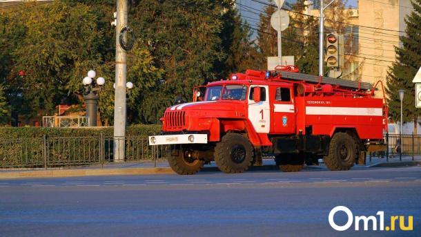 Мэр Омска Шелест предупредил жителей города о повышенной пожарной опасности