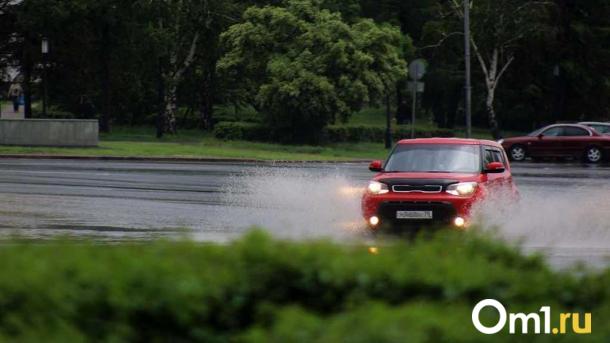 До 200 тысяч рублей: омичей будут штрафовать за грязь