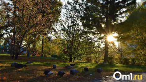В Гидрометцентре предупредили омичей о странных аномалиях погоды