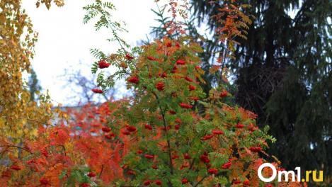 Не пускайте в дом женщин: приметы и традиции на Кумохин день 18 сентября