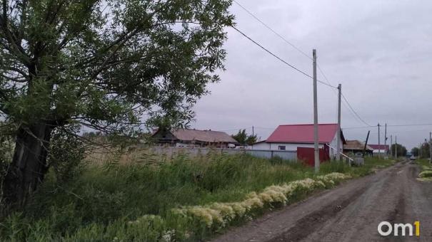 Незаконное размещение: свалка биологических отходов под Омском заинтересовала силовиков