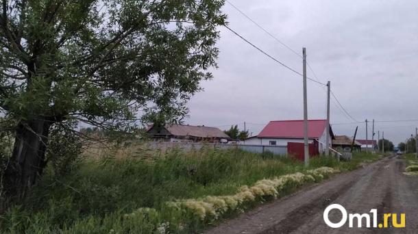 Незаконное размещение: свалка биологических отходов под Омском заинтересовала силовиков