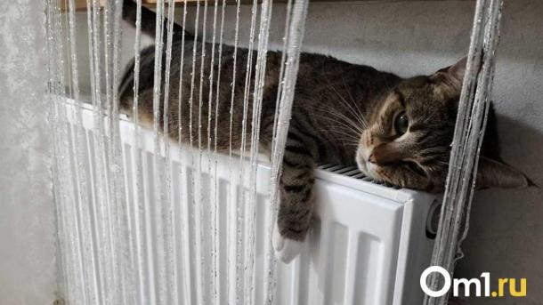 Омичам рассказали, сколько градусов должно быть в квартире после включения отопления