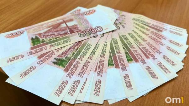 Более 2,5 миллионов: в Омске бывший ветеринарный врач подозревается в получении взятки