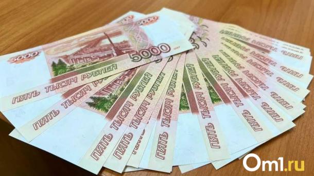 Более 2,5 миллионов: в Омске бывший ветеринарный врач подозревается в получении взятки