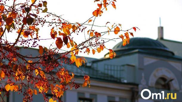 После включения отопления омичей ждёт вторая волна бабьего лета
