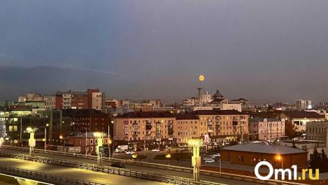 В Омске телебашня загорится зелёным в День работников леса