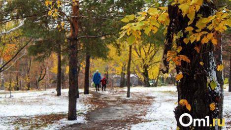 Мокрый снег и заморозки: в Гидрометцентре дали неожиданный прогноз для Омска